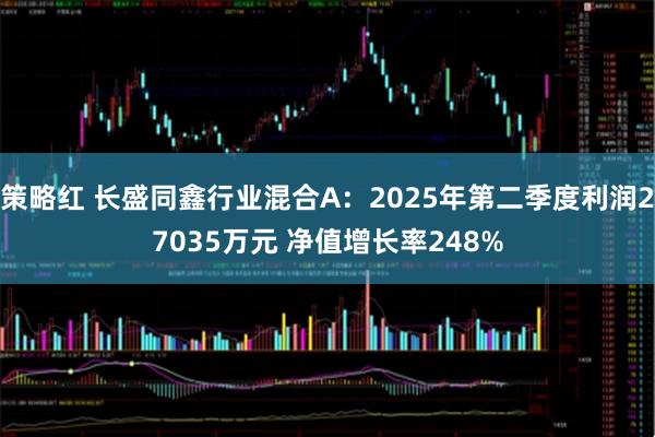 策略红 长盛同鑫行业混合A：2025年第二季度利润27035万元 净值增长率248%